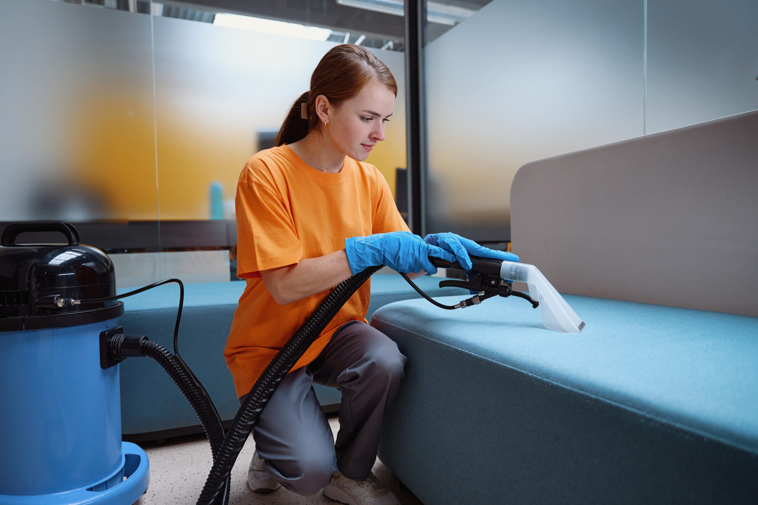 Upholstery Cleaning